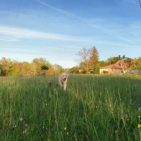 Gite Les Orchidees Dom wakacyjny